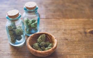 ETF lanceret med fokus på marihuana -industri
