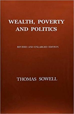 Богатство, бедность и политика