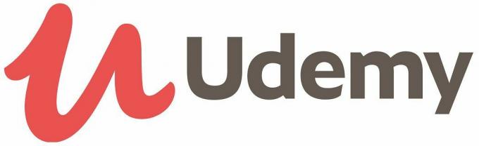 Modelado financiero para empresas emergentes y pequeñas empresas de Udemy